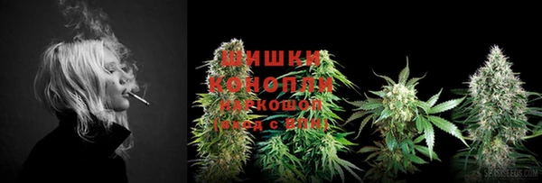 PSILOCYBIN Балабаново