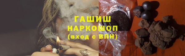 МДПВ Бердск