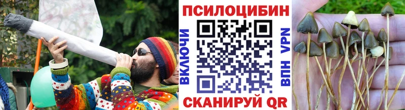 Галлюциногенные грибы ЛСД  Балей 