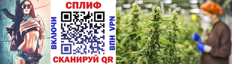 hydra маркетплейс  сколько стоит  Балей  Каннабис Amnesia 